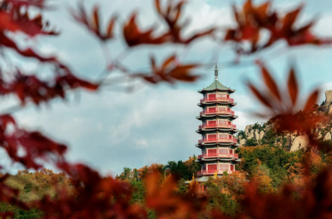 微信图片_20231124152110.png 微信图片_20231124152110.png