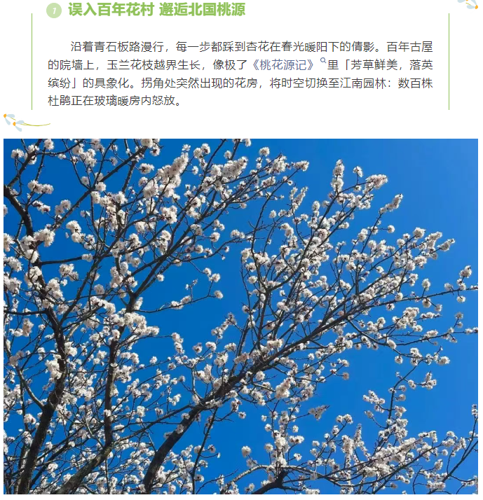 微信图片_20250404080534.png