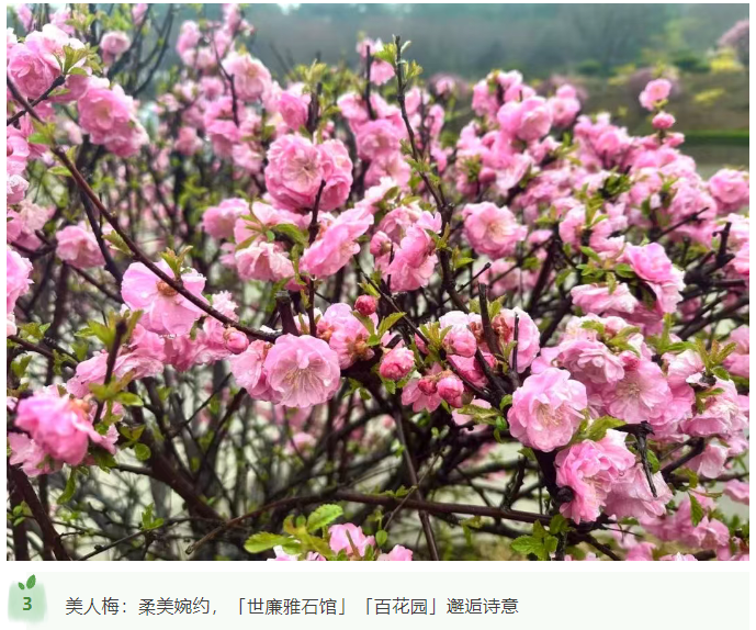 微信图片_20250412170500.png